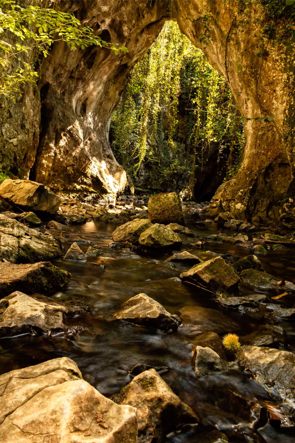cuevas kársticas de Los Covarones